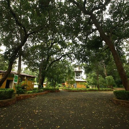 Mpt White Tiger Forest Lodge Tāla エクステリア 写真
