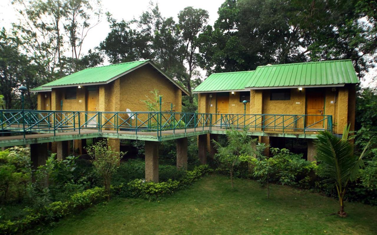 Mpt White Tiger Forest Lodge Tāla エクステリア 写真