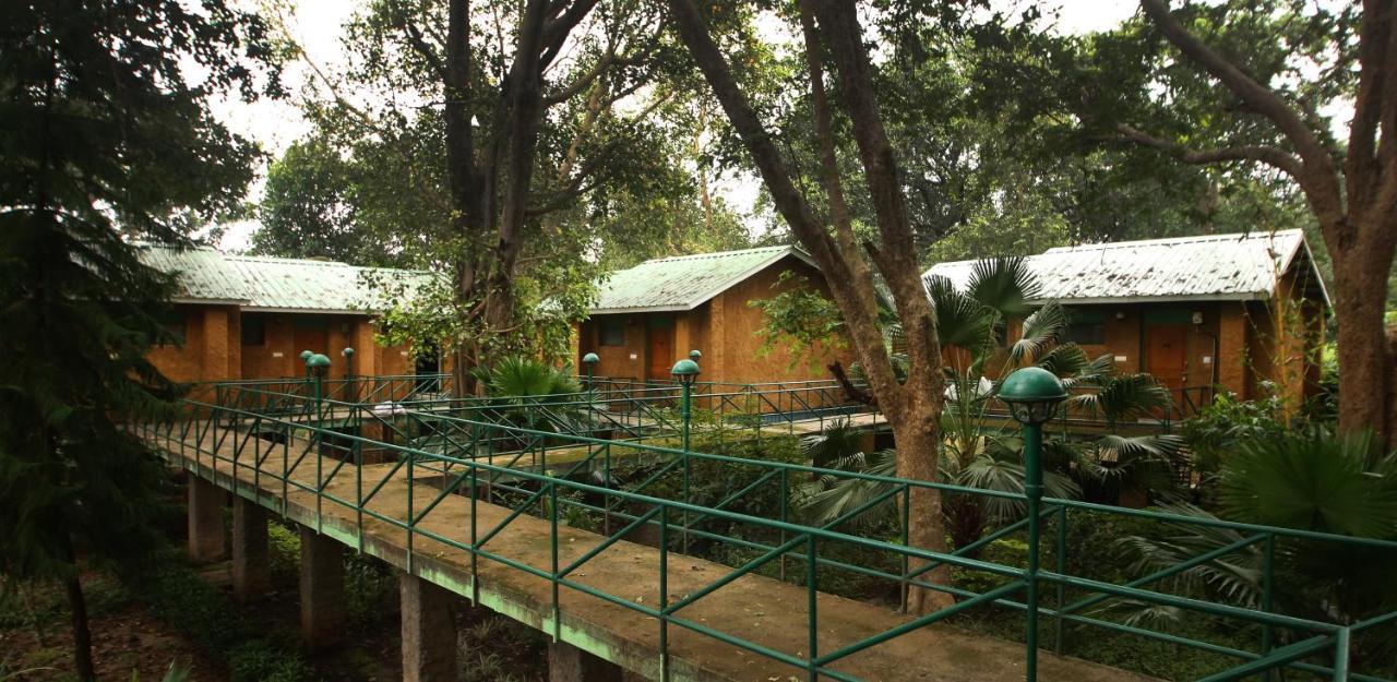 Mpt White Tiger Forest Lodge Tāla エクステリア 写真