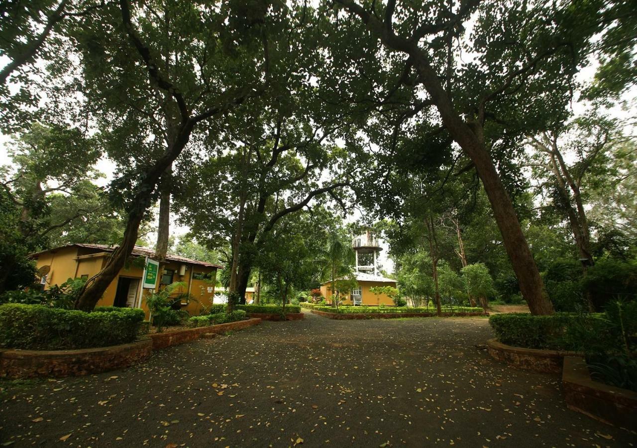Mpt White Tiger Forest Lodge Tāla エクステリア 写真