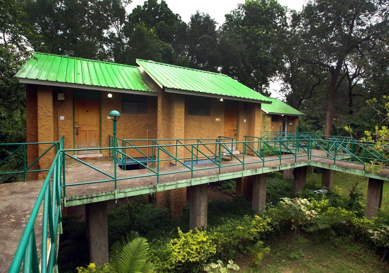 Mpt White Tiger Forest Lodge Tāla エクステリア 写真